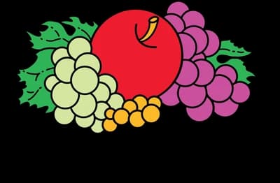 Fruit of the Loom